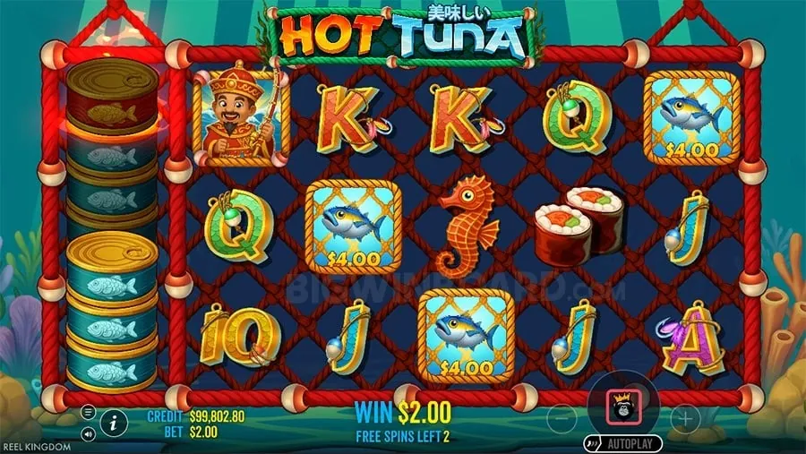 Bonuses and Promotions